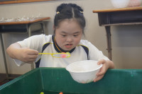 DSC02704