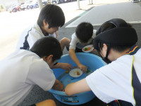 DSCF9800